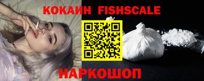 индика Кингисепп