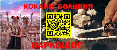 индика Кингисепп