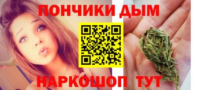 индика Кингисепп
