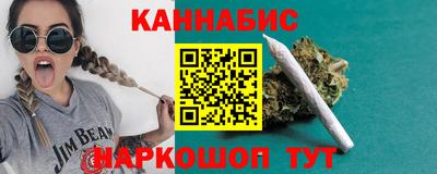 индика Кингисепп