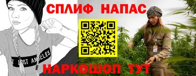 индика Кингисепп