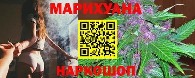 индика Кингисепп