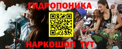 индика Кингисепп