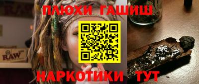 индика Кингисепп