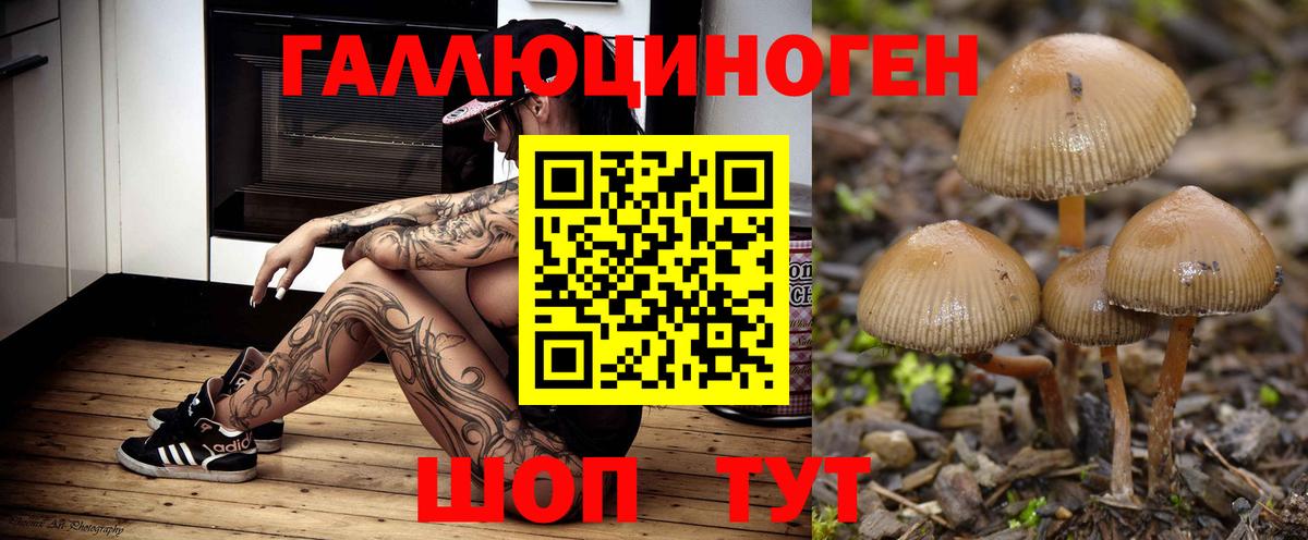 Галлюциногенные грибы MAGIC MUSHROOMS Усть-Джегута
