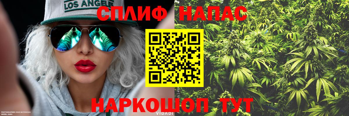 Конопля VHQ Усть-Джегута
